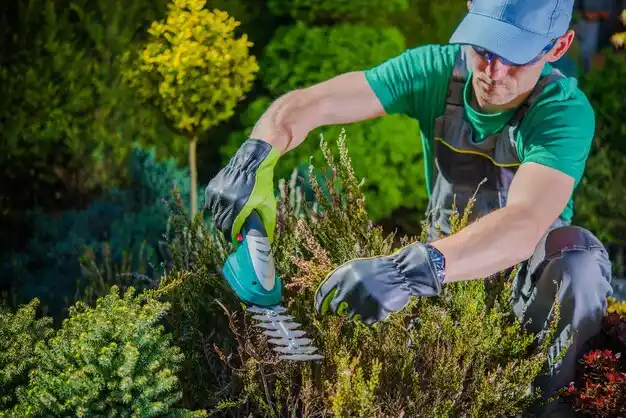 landscaping services North Kingsville